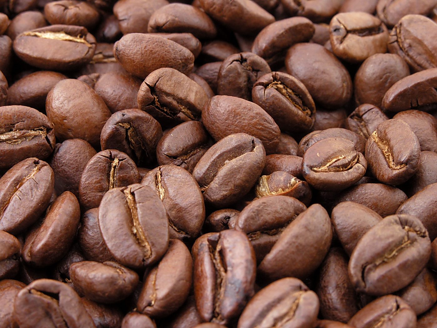 1 lb Fresh Roasted Whole Beans